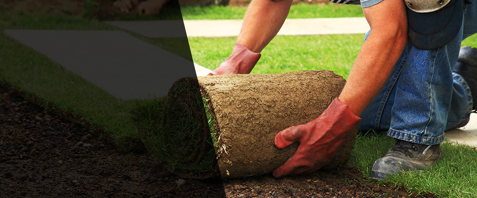 Amory Landscapers